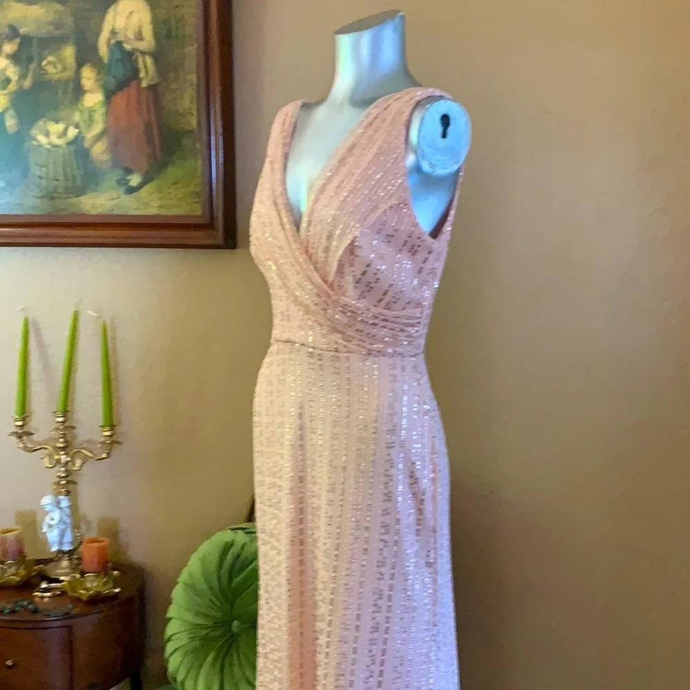 NWT DFI Los Angeles Long Blush Sequin Dress.  Sz M